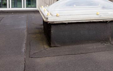 disadvantages of Sunk Island flat roofs