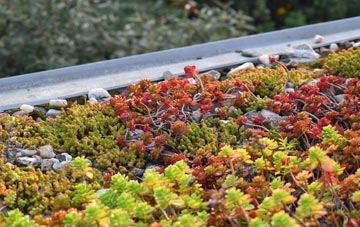 the cost of Sunk Island green roof installation