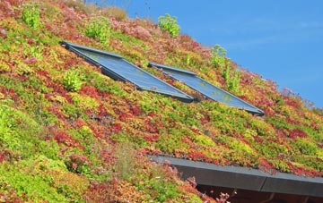 Sunk Island living roof systems
