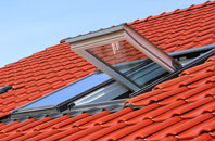 Sunk Island roof window
